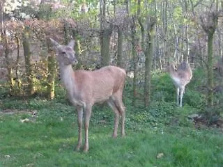 Au Manoir Des Vallees 2*